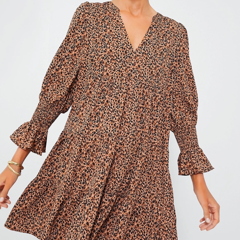 Tuckernuck Leopard Kenzo Dress